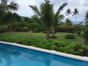 - une piscine en face d'une cour avec des palmiers dans l'établissement Island Time Guest Room, à Flying Fish Cove