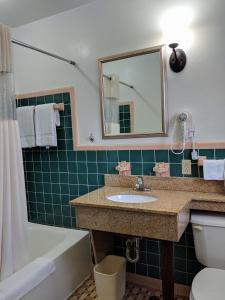 uma casa de banho com um lavatório, uma banheira e um espelho. em Cheerio Inn - Glennville em Glennville