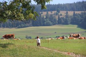 Hostia v ubytovaní Naturpark Bauernhof Sperl