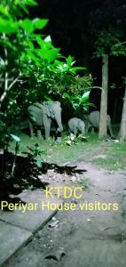 Fotografie z fotogalerie ubytování Periyar House v destinaci Thekkady