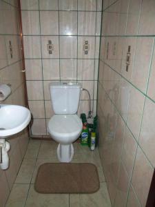 małą łazienkę z toaletą i umywalką w obiekcie Agroturystyka Jacnia w mieście Jacnia