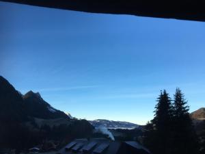 ゲストハウスの近くで見られる自然の景観