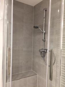 a shower with a glass door in a bathroom at Strandläufer im Haus Strelasund in Binz