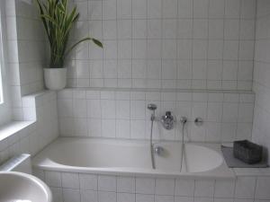 uma banheira branca com um vaso de plantas em cima em Ferienwohnung mit Aegidienblick em Oschatz
