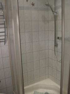 Ferienwohnung mit Aegidienblick في Oschatz: حمام مع دش مع مرحاض