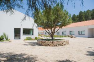 a tree in a stone circle in front of a building at Quinta de Trancoso in Carnicãis