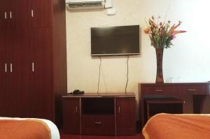 een hotelkamer met een televisie en een vaas met bloemen bij Hotel 198 in Santiago
