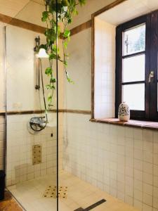 y baño con ducha y puerta de cristal. en Agriturismo Podere Pescara, en Orvieto