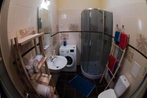 La petite salle de bains est pourvue d'une douche et d'un lavabo. dans l'établissement Suitu apartments, à Liepāja 9 autres photos