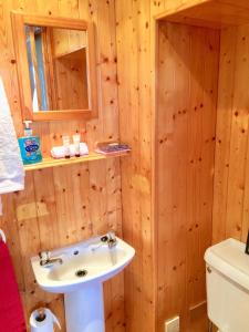 a bathroom with a sink and a toilet at Windhaven Camping and B&B in Thurso