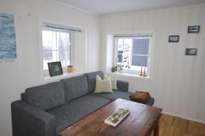uma sala de estar com um sofá e uma mesa de centro em Apartment between Ustaoset and Geilo em Geilo