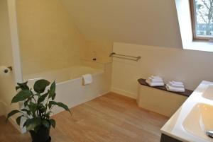 La salle de bains est pourvue d'une baignoire et d'une plante en pot. dans l'établissement Au Logis De La Rance Bed and Breakfast, à Saint-Jouan-des-Guérets