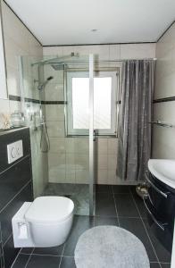 een badkamer met een toilet, een douche en een wastafel bij Ferienhaus Harmonia in Neuendorf Heide