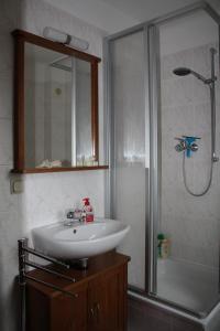 uma casa de banho com um lavatório e um chuveiro em Ferienwohnung Scharnhorst em Dresden
