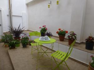 A garden outside Casa Paco