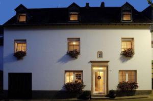 a white house with two windows and two plants at Weingut & Gästehaus Edwin Hoffmann in Trittenheim