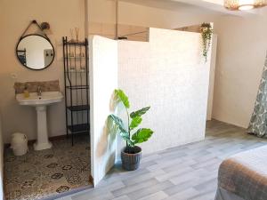 baño con ducha corredera y planta en Maison d'hôtes Les 3 Baudets, en Issor