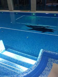 una piscina con reflejo en el agua en Tasarz Spa Ośrodek Wczasowy en Rewal