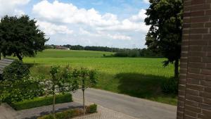 a view of a field with a tree and a road at Boave ut Wirkes in Klimmen