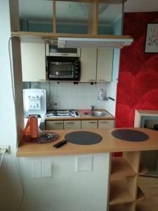 Il comprend une petite cuisine équipée d'un évier et d'un four micro-ondes. dans l'établissement Flat, 1 room, study, à Panevėžys