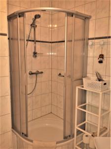 eine Dusche mit einer Glastür in einem Badezimmer in der Unterkunft Eine schöne 3-Zimmer-Wohnung mit Ostsee-Zugang! in Juliusruh