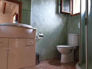 a bathroom with a sink and a toilet at Tranquilidad y naturaleza a 800m Playa Migjorn in Playa Migjorn