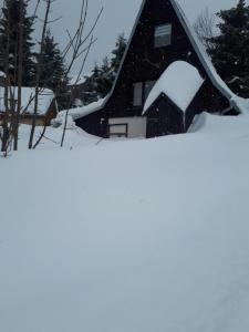 une maison avec de la neige sur le toit dans l'établissement Ferienhaus Wittmann, à Kurort Oberwiesenthal