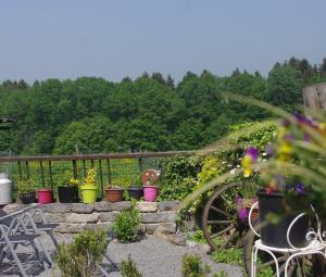 un jardín con macetas de flores y una valla en Gite Avesnois - 4910 - en Willies