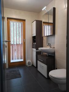 ein Bad mit einem Waschbecken und einem WC in der Unterkunft Apartma Lucijana in Mojstrana