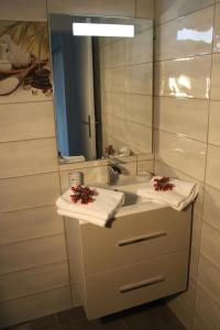 a bathroom with a sink and a mirror at LES MULTIPLIANTS in Le Moule