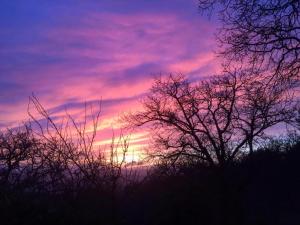 un coucher de soleil avec des arbres devant un ciel coloré dans l'établissement Agriturismo Podere Costarella, à Radicondoli