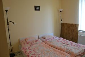 Billede fra billedgalleriet på Arany Tisza Apartmanház i Poroszló