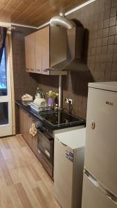 a kitchen with a stove and a refrigerator at Adart Apartment in Narva