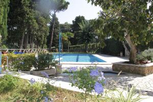 une piscine dans un jardin avec des fleurs violettes dans l'établissement Hotel Boomerang Roma, à La Massimina-Casal Lumbroso