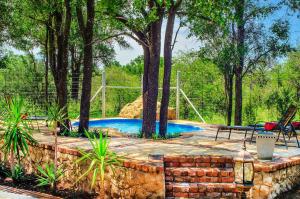 Bassein majutusasutuses Tshikwalo Game Lodge või selle lähedal