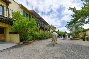 Un par de caballos caminando por una calle en Domaine De Fraisse, en Leuc