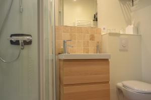 a bathroom with a sink and a toilet at La Maison Des Buis in Falaise +40 photos