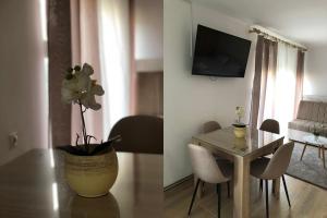 Televízia a/alebo spoločenská miestnosť v ubytovaní Apartments Ivan