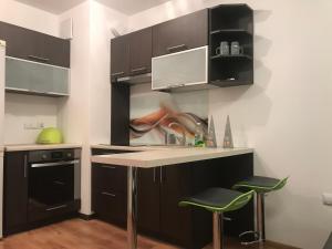 Η κουζίνα ή μικρή κουζίνα στο Apartament Studio Ryska