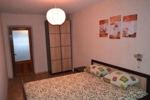 1 dormitorio con cama y lámpara de araña en 3-х комнатные Апартаменты на Данила Галицкого, en Kamianets-Podilskyi