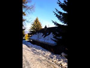 una strada innevata con alberi e una casa di Chata Bucharka a Liberec