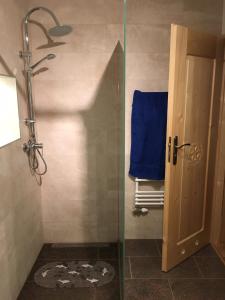 eine Dusche mit Glastür und einem blauen Handtuch in der Unterkunft Domek pod Maciejową in Rabka-Zdrój