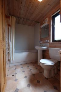 a bathroom with a toilet and a sink and a tub at Fellside Lodge in Keswick