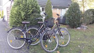 ツィノヴィッツにあるZinnowitz Skanepark Ferienhaus 28の家の前に隣同士に駐輪した自転車2台