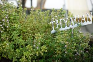 Vonkajšia záhrada v ubytovaní Hotel Bergland
