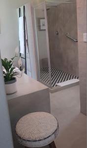a bathroom with a stool and a shower with a mirror at Dancing River Guesthouse in Vereeniging