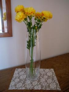 Φωτογραφία από το άλμπουμ του Haus Berta σε Braunau am Inn