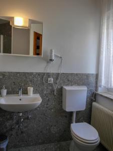 a bathroom with a toilet and a sink at Haus Berta in Braunau am Inn