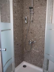 a bathroom with a shower with a toilet in it at Haus Berta in Braunau am Inn