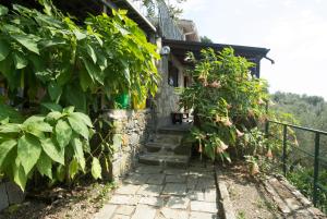 Kép Il Sole di Valletonda Holiday House szállásáról Cornigliában a galériában